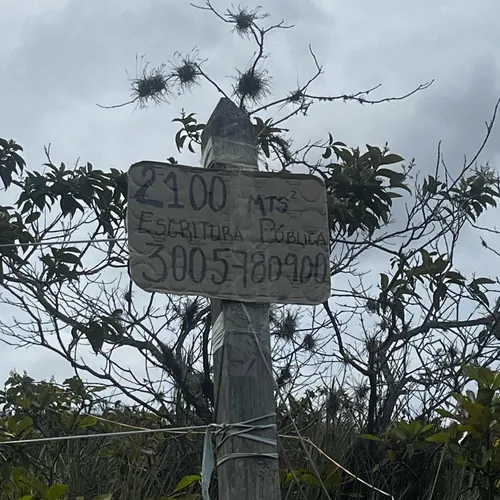 Lote 2100 Mts2 Con Escritura Vereda Espinal Los Santos