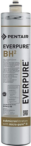 Everpure Ev9612-50 Bh 2 Cartucho De Filtro, Plateado, Ev9612