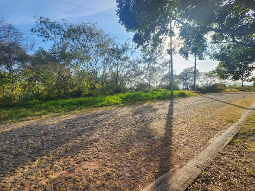 Venta Lote San Diego 152 Mz Xiii Con Todos Los Servicios, Vistas Panorámicas, Proyecto Arquitectónico Incluído En Av Principal Fracc Rancho San Diego Ixtapan De La Sal Edomex