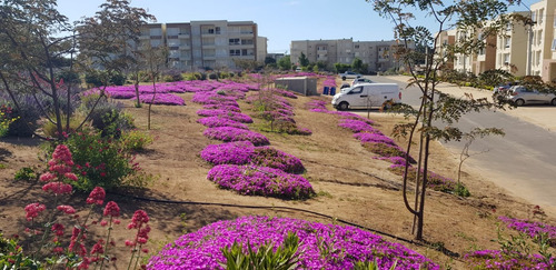 Arriendo Cómodo Depto Lomas De Papudo- 3 Dorm/2baños- 6 Pers