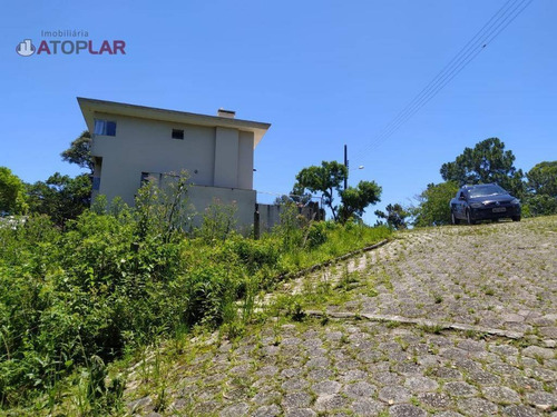 Imagem 3 de 6 de Terreno À Venda, 9500 M² Por R$ 2.300.000,00 - Vila Nova - Porto Belo/sc - Te0083