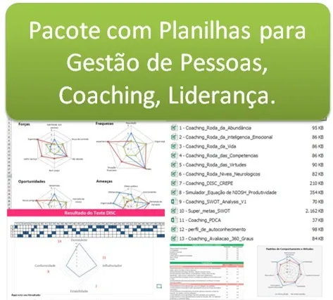 Pacote Planilhas Do Excel Coaching Com 72% De Desconto