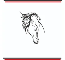 Comprar Calca Sticker Silueta De Caballo Para Carro O Camioneta 