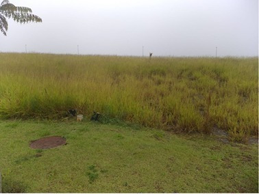 Imagem 2 de 12 de Terreno Em Santana - 1027_mil