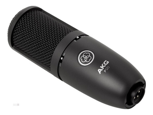 Micrófono Akg P120 Condensador Cardioide Negro Rjd Galerias