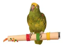 Comprar Percha Palo Juguete Pajaros Loros Cocotillas Agapornis New