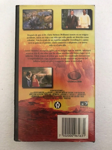 Vhs Mas Alla De Los Sueños What Dreams Come Robin Williams (Usado)
