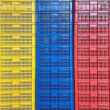 Cesta Plastica Fondo Liso Para Pollos Pescado