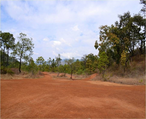 Terreno En Venta En Temascaltepec.