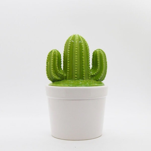 Imagen 1 de 2 de Maceta Cactus Decorativa Simulada Cofre Alhajero 
