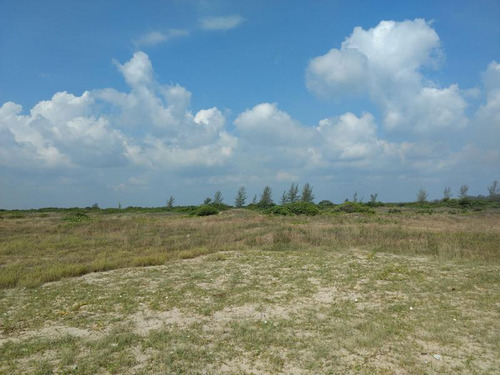 Venta Rancho 100 Hectareas Frente Laguna Tamiahua Veracruz