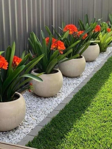 Imagen 1 de 4 de Piedra Granza Blanca Mármol Jardín Decoración X 25 Kg Oferta