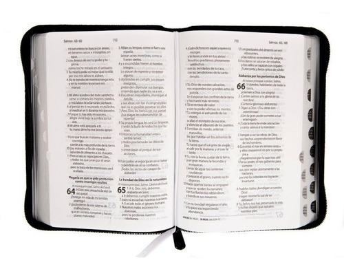 Imagen 5 de 7 de Biblia Reina Valera Contemporánea Letra Mayor Cierre Índice