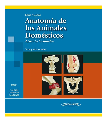 Anatomia De Los Animales Domesticos Tomo 1 2ª Edicion Correg