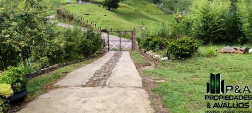 Imagen 16 de 24 de Finca En Venta En San Pedro - La Palma