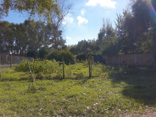 Imagen 3 de 3 de Hermoso , Amplio Lote En Zona Ezcurra Permuto Por Depto