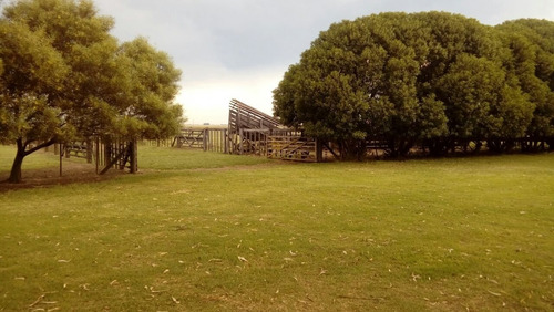 Imagen 19 de 30 de Campo Mixto En San Cayetano