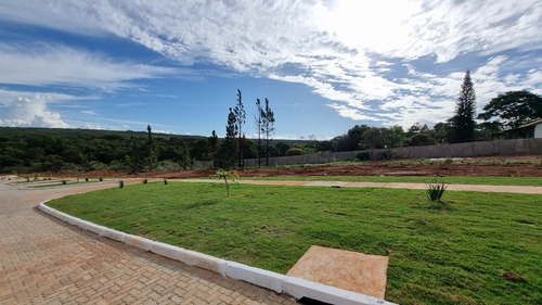 Smpw 17, Quadra 15: Lote De 2500 M², Escriturado, Infra, Pronto Para Construir