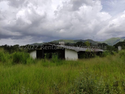 Imagen 14 de 27 de Finca En Venta En Bejuma