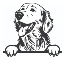 Comprar Calco Perro Golden Retriever Vinilo Auto Motos Termo Compu