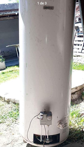 Termotanque Longvie 110 L.