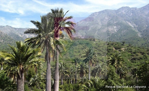 :::: Conecta Con La Tierra. Tranquilidad Y Naturaleza ::::