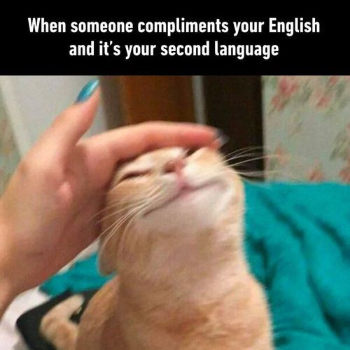 Imagen 2 de 3 de Clases Particulares E Individuales Virtuales De Inglés