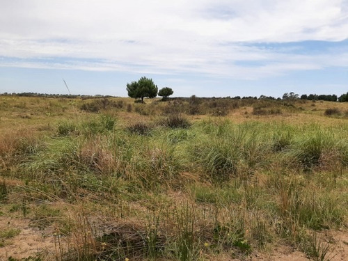 Imagen 7 de 12 de Terrenos De 4,5 Hectareas Cerca Del Mar Zona Mar Azul