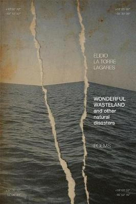 Libro Wonderful Wasteland And Other Natural Disasters : P...