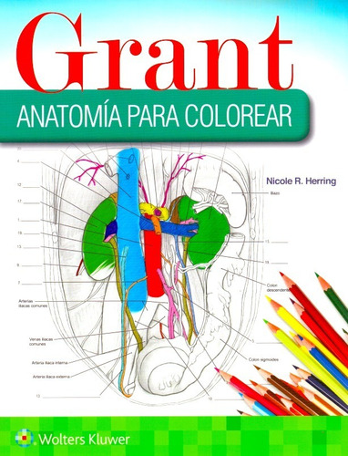Grant Anatomia Para Colorear Libro Original Y Nuevo