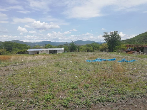 Imagen 8 de 9 de Terreno A Pie De Carretera Federal Cvaca/yautepec