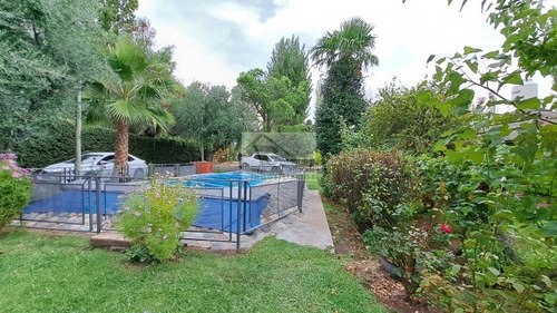 Inversor Vendo Complejo De 3 Cabanas Con 2 Has De Ciruela D'agen Con Tela Antigaranizo, Galpon, Gas, Agua, Luz, Derecho De Riego. Rama Caida, San Rafael, Mendoza.