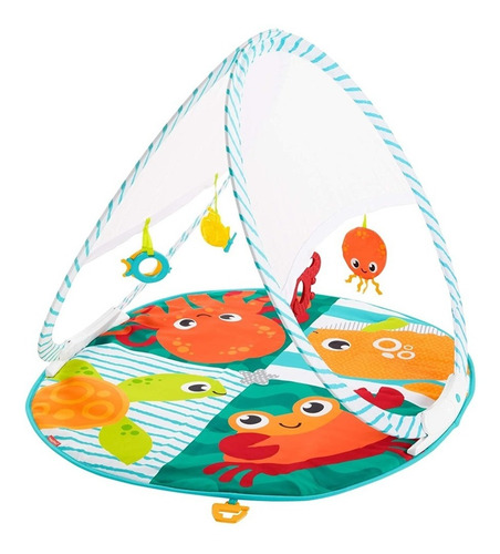 Gimnasio Portátil Para Bebe Fisher Price, Fxc15
