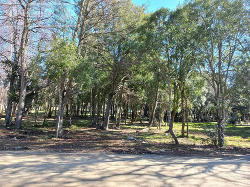 Imagen 8 de 9 de Excelente Terreno A La Venta En Barrio Cerrado Bariloche
