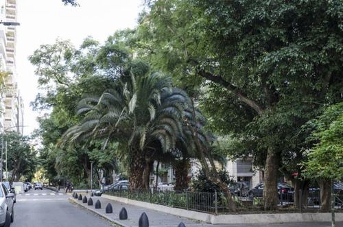 Imagen 3 de 18 de Departamentos Venta Palermo