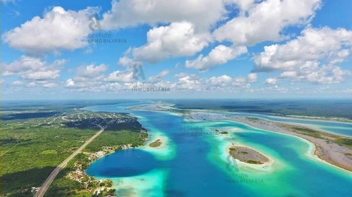 Imagen 5 de 8 de Terreno En Venta En Bacalar, Quintana Roo. Ctv139.