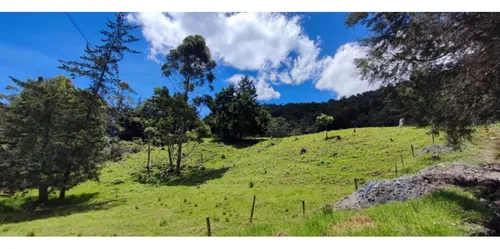 Lote En Vender En Rionegro