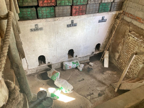 Viñedo En Producción Con Bodeguita En Montevideo