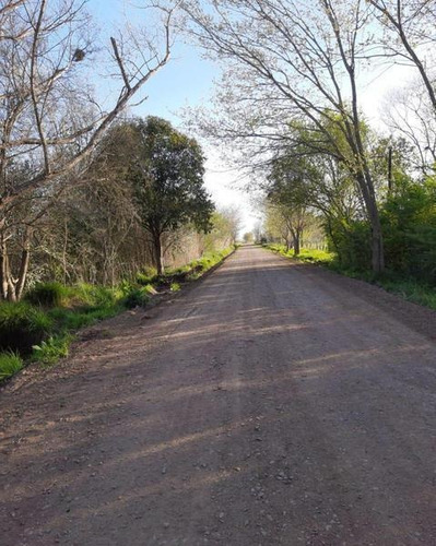 Imagen 3 de 27 de 501 Y 165- Lote-sector Abierto - Gorina Sur-la Plata-