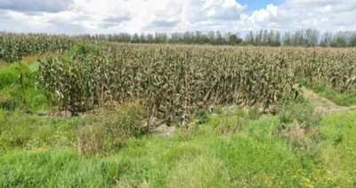 Terreno en venta
