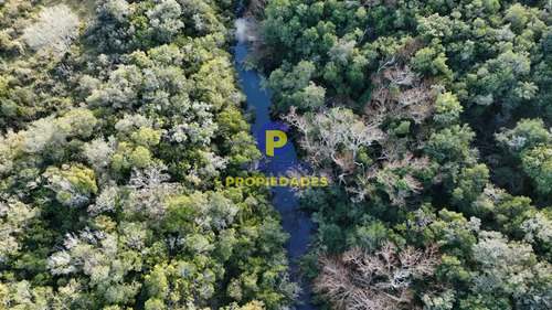 3 Hectáreas En Pueblo Edén Con Arroyo Y Monte Nativo