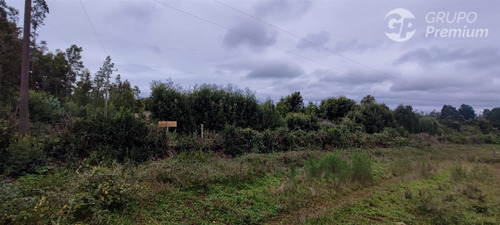 Sitios En Venta En Arauco, Sector Los Patos