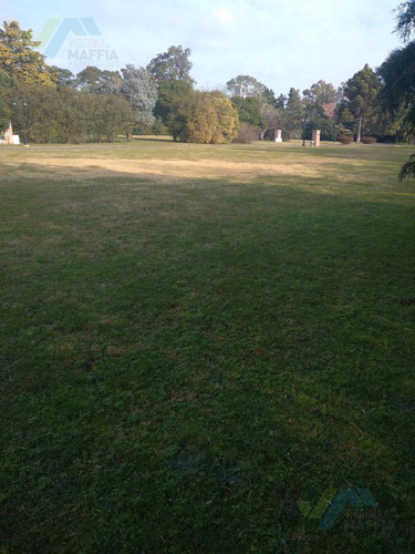 Imagen 20 de 20 de Venta De Terreno - La Otilia