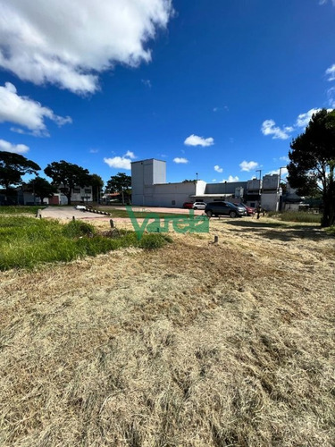 Imagen 24 de 25 de Venta Local Comercial Nuevo Paris, Zona Para Logística!! - Montevideo Nuevo Paris