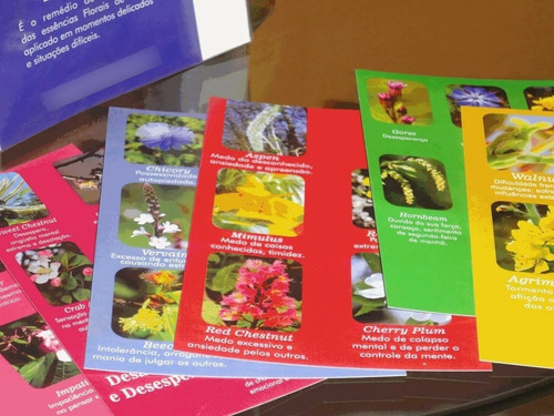 Cartas Florais De Bach Com 8 Postais Dos 7 Grupos De Emoções
