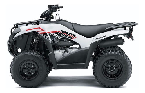 Imagen 13 de 25 de Kawasaki Brute Force 300 2022
