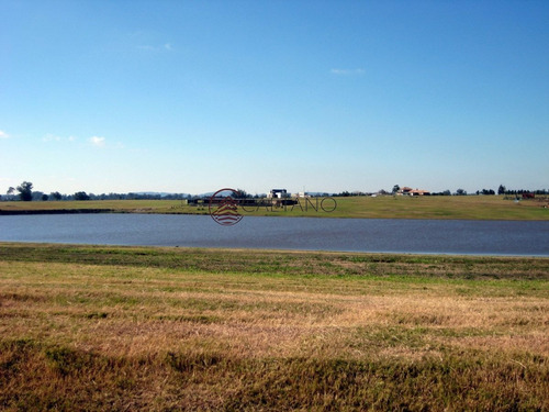 Imagen 19 de 22 de 50 Metros De Costa, Acepta Financiacion Sin Interes, Venta, Chacra, Punta Del Este, Uruguay, Laguna De Los Cisnes - Punta Ballena Laguna De Los Cisnes