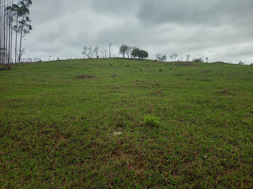 Imagem 13 de 14 de 16- Lotes De 800m A Venda Em Arujá,sem Burocrácia