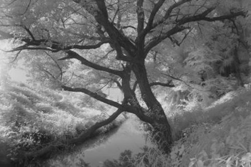 Filtro Infrarrojo Hoya 58 Mm R-72
