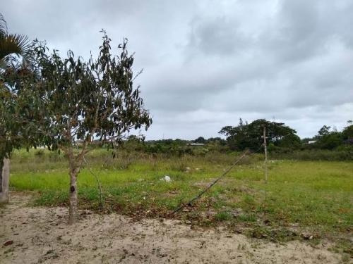 Imagem 2 de 5 de Terreno Lado Serra Com 271 M2, Em Itanhaém-sp 7485-pc
